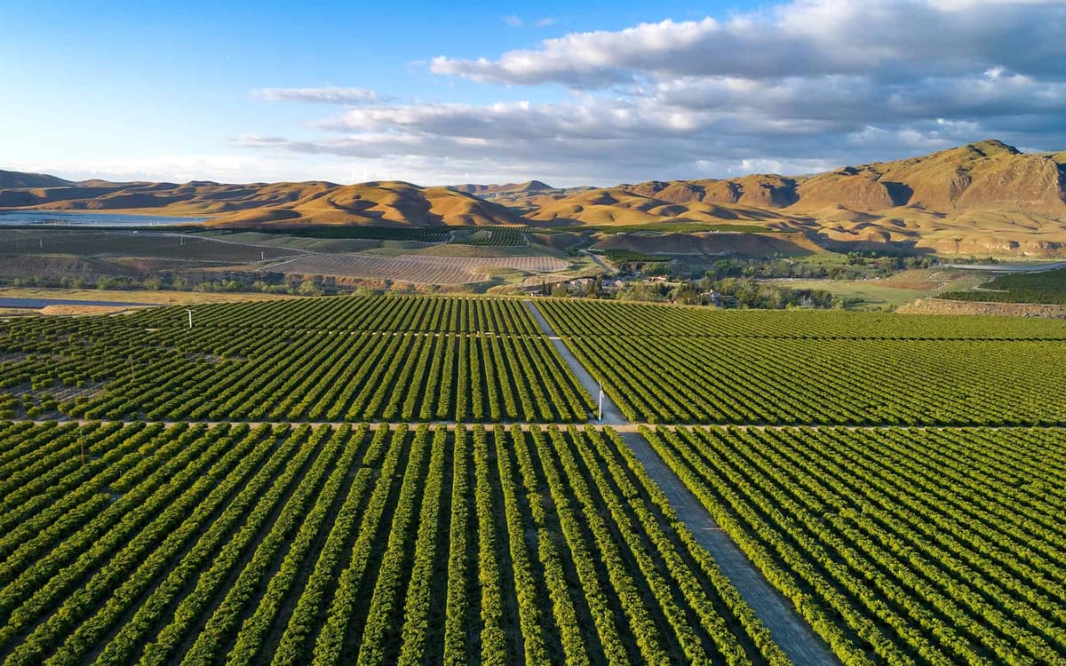 Mojave family enjoying cost savings with backup battery in Mojave system installation