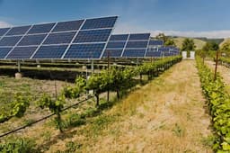 Agricultural services for solar pge Maricopa - Next Phase Electric